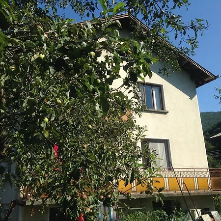 Vila Vit In Kurort Ribaritsa Guest house