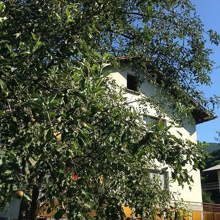 Vila Vit In Kurort Ribaritsa Guest house